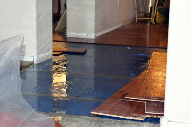 Professional Water Damage Restoration technician working in Gorham, ME
